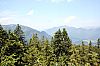 IMG_9839.JPG